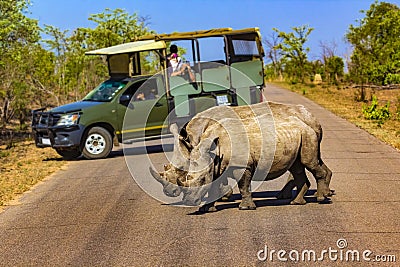 Kruger National Park, South Africa Stock Photo