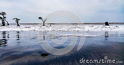 The beach Stock Photo