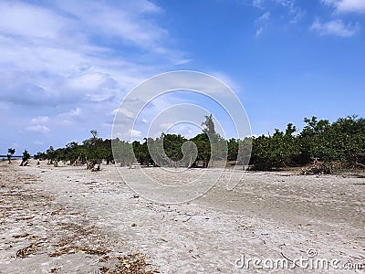 Kuakata Beach Stock Photo