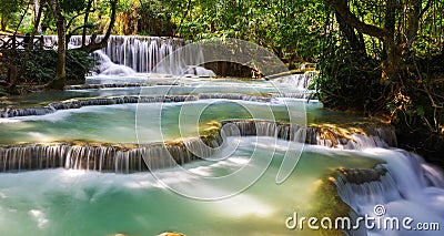 Waterfall in the forest Stock Photo