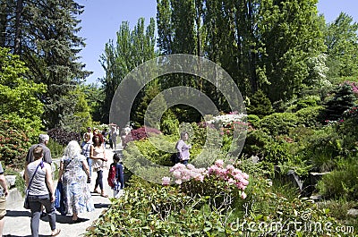 Kubota garden Seattle, Japanese style spring Editorial Stock Photo