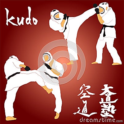 Kudo martial arts fighters illustration Stock Photo