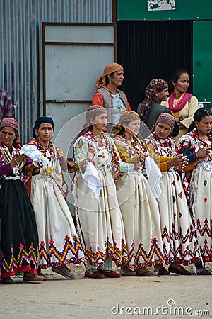 A group of Himachali women dancing Nati dance in the folk dress(dhatu & pattu) of kullu Editorial Stock Photo