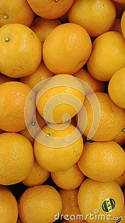 Kumpulan buah jeruk sweet orange fruits Stock Photo