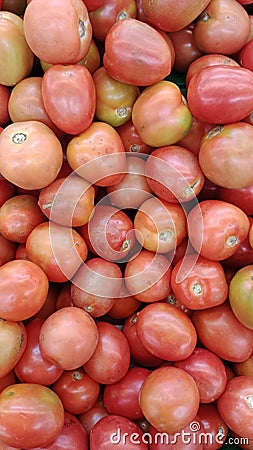 Kumpulan tomat siap fimakan red tomatos Stock Photo