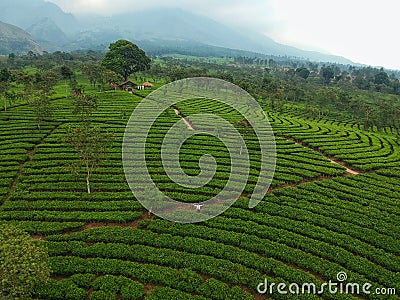 Kuneer Hill, Malang, East Java, Indonesia Stock Photo