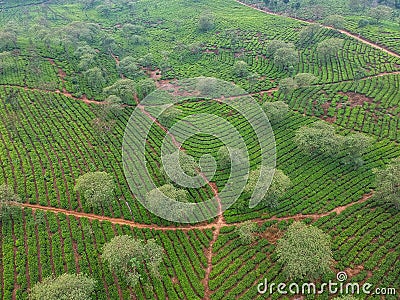 Kuneer Hill, Malang, East Java, Indonesia Stock Photo