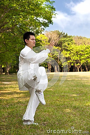 Kung fu Stock Photo