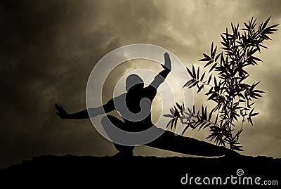 Kung Fu Martial Art Background Stock Photo