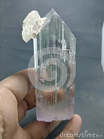 Kunzite spodumene crystal clear lilac pink color specimen Stock Photo