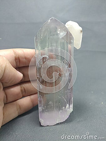 Kunzite spodumene crystal clear lilac pink color specimen Stock Photo