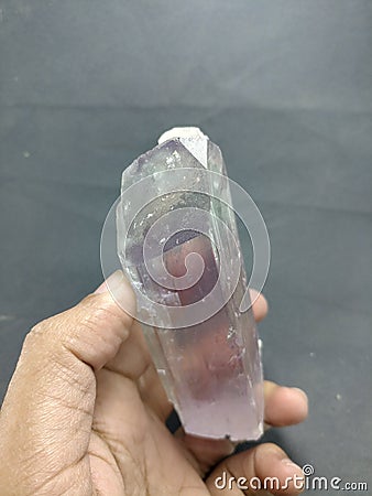 Kunzite spodumene crystal clear lilac pink color specimen Stock Photo