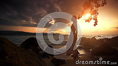 Kvinna som går på stranden och ser till horisonten arkivfilmer Kvinna som går på stranden och ser till horisonten arkivfilmer