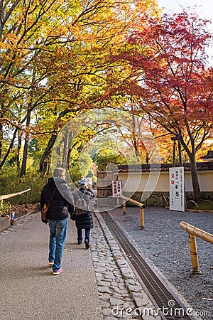 KYOTO,JAPA -NOV26:Tourist walking in beautiful nature maple tree Editorial Stock Photo