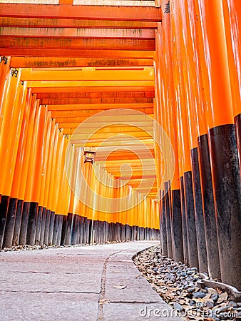 Torii path lined with thousands of torii in the Fushimi Inari Taisha Shrine Editorial Stock Photo