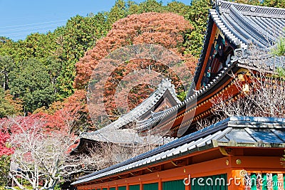 Autumn leaf color at Bishamondo Temple in Yamashina, Kyoto, Japan. The Temple originally built in 703 Stock Photo