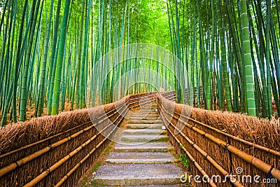 Kyoto, Japan Bamboo Forest Stock Photo
