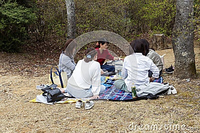 Kyoto, Japan, 04/06/2017: A company of young Japanese in a park on a picnic Editorial Stock Photo
