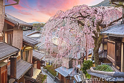 Kyoto, Japan in the Higashiyama district with cherry blossoms Stock Photo