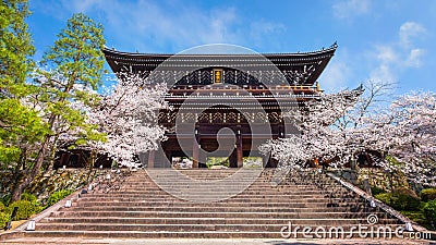 Beautiful full bloom Cherry Blossom - Sakura in scenic spring time at Chion-in temple Stock Photo