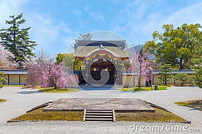 Daikakuji Temple with Beautiful full bloom cherry blossom garden in spring time Stock Photo