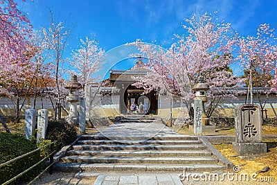 Ninnaji templein Kyoto, Japan listed as World Heritage Sites famous for Omuro Cherries Editorial Stock Photo