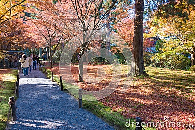 Autumn leaf color at Sanzenin Temple in Ohara, Kyoto, Japan. Sanzenin Temple was founded in 804 Editorial Stock Photo