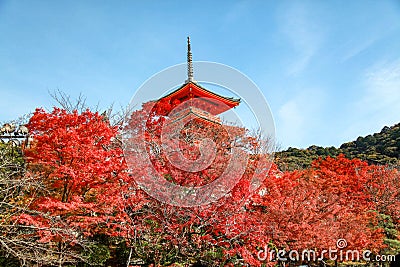 Kyoto; Japan - November 25 2017 : View of Autumn season the Kiyomizu Dera temple is the most famous in Kyoto; Japan Editorial Stock Photo