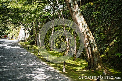 Quiet moss-covered stone wall at Ohara, Kyoto Stock Photo