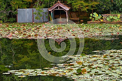 Kyoyochi Pond â€“ the water garden of the Ryoan-ji temple. Kyoto.Japan Stock Photo