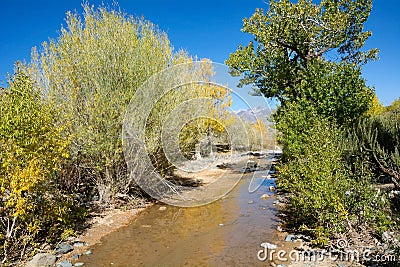 Kyzyl-Chin river in the Altai Mountains Stock Photo