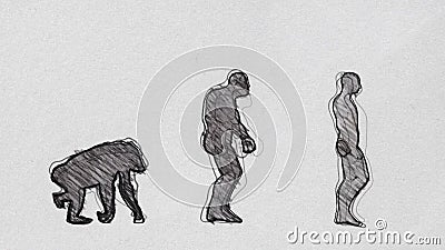 Línea De Tiempo De Evolución Humana Caminando En Lápiz Bosquejo Bucle Sin  Fisuras Metrajes - Vídeo de bucle, caminata: 210916546