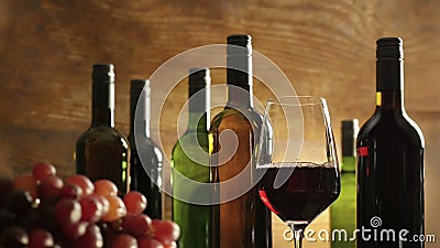 L'atmosphère d'échantillon de vin dans une cave d'établissement vinicole versant juste le vin rouge dans un verre devant des bout clips vidéos L'atmosphère d'échantillon de vin dans une cave d'établissement vinicole versant juste le vin rouge dans un verre devant des bout clips vidéos