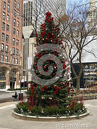 Chicago Christmas Tree Editorial Stock Photo