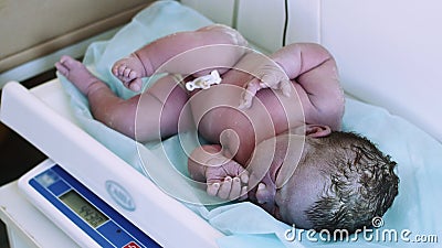 L'infermiere in guanti pesa il piccolo bambino neonato sulle scale in maternità dopo la nascita clinica archivi video L'infermiere in guanti pesa il piccolo bambino neonato sulle scale in maternità dopo la nascita clinica archivi video