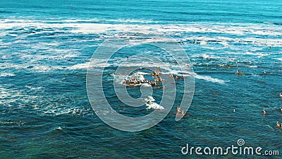 LA BOCANA BCS MEXICO-2022: the Waves are Rolling in the Sunset Stock