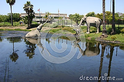 La Brea Tar Pits Stock Photo