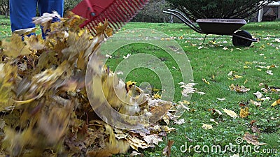 La chute de râteau d'homme de jardinier part et le chariot vide pendant l'automne fonctionne dans la cour 4K banque de vidéos La chute de râteau d'homme de jardinier part et le chariot vide pendant l'automne fonctionne dans la cour 4K banque de vidéos