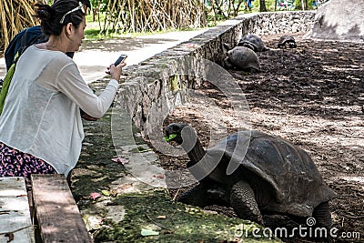 La Digue, Seychelles, 22/12/2014: Asian tourists photograph a giant turtle in the Anse Source D`argent Editorial Stock Photo