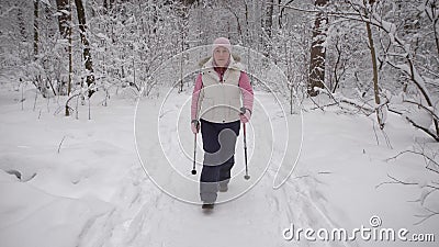 La femme agée passe les loisirs dans le bois La forêt d'hiver soutient le niveau de l'activit physique banque de vidéos La femme agée passe les loisirs dans le bois La forêt d'hiver soutient le niveau de l'activit physique banque de vidéos