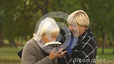 La Femme A Mis Le Visage D Ami Dans Le Gateau Celebration D Anniversaire D Amusement Salutations De Retraite Banque De Videos Video Du Amusement Anniversaire La Femme A Mis Le Visage D Ami Dans Le Gateau Celebration D Anniversaire D Amusement Salutations De Retraite Banque De Videos Video Du Amusement Anniversaire