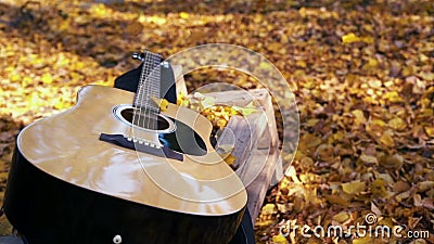 La guitare se situe dans la forêt sur les feuilles jaunes Chute de feuilles de jaune sur la guitare Forêt automnale banque de vidéos La guitare se situe dans la forêt sur les feuilles jaunes Chute de feuilles de jaune sur la guitare Forêt automnale banque de vidéos