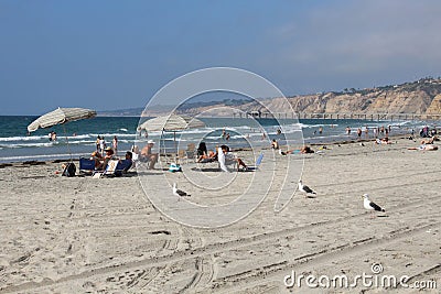 La Jolla Beach Editorial Stock Photo