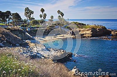 La Jolla Cove, California Editorial Stock Photo