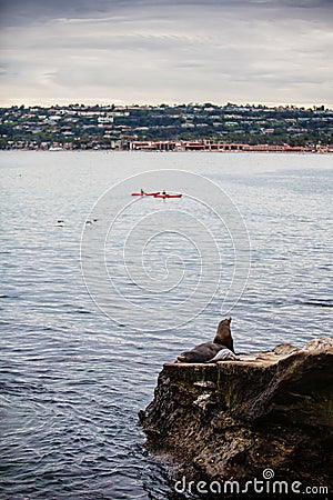 La Jolla Kayaks Stock Photo