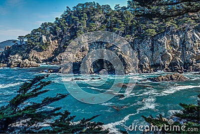 Diversity Graces the Coastal Landscape of California Stock Photo