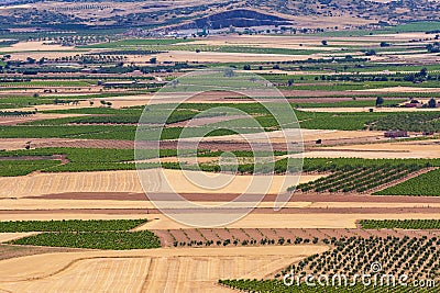 La Mancha plain with geometries of agricultural plots of land Stock Photo