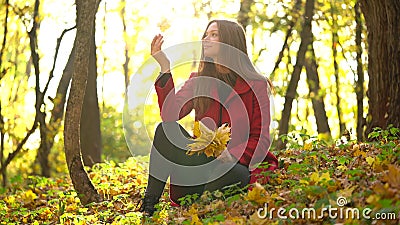 La muchacha hermosa se sienta en el bosque del otoño y recoge un ramo de hojas de arce amarillas almacen de video La muchacha hermosa se sienta en el bosque del otoño y recoge un ramo de hojas de arce amarillas almacen de video