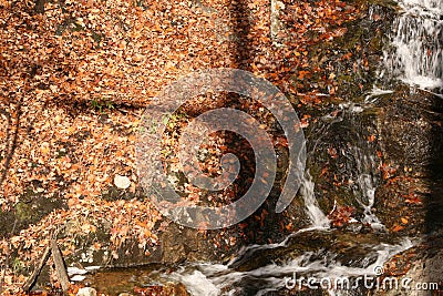 La nature en automne au quÃ©bec / Lovely waterfall Stock Photo