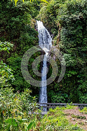 La Paz Waterfall gardens, with green tropical forest in Central Valley, Costa Rica Stock Photo